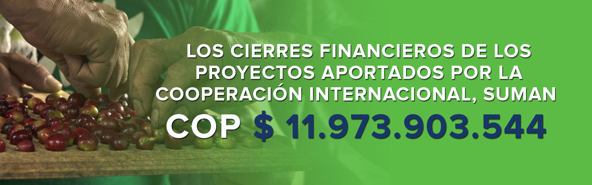 AT-A-PROYECTOS-PRODUCTIVOS-3 (1)