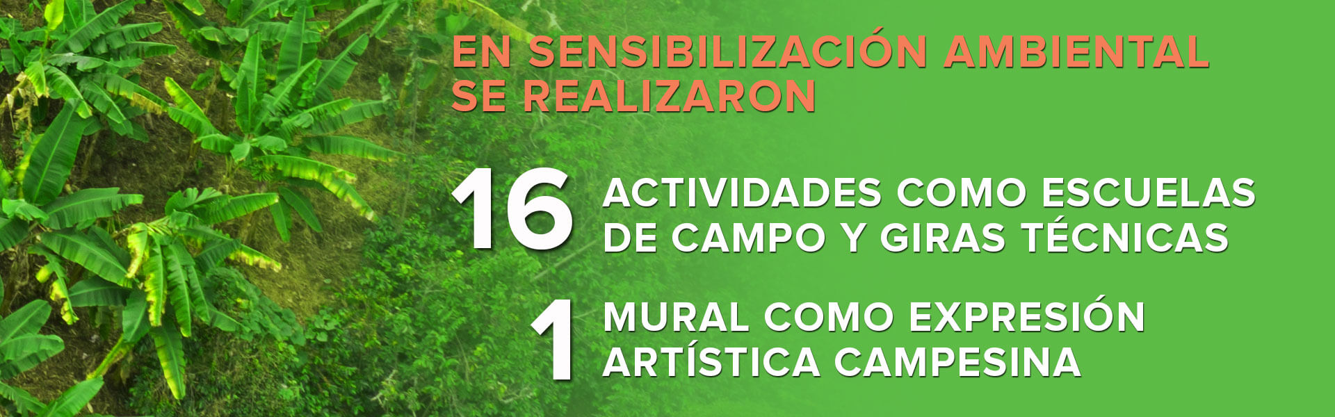 IMPACTO-AMBIENTAL-3