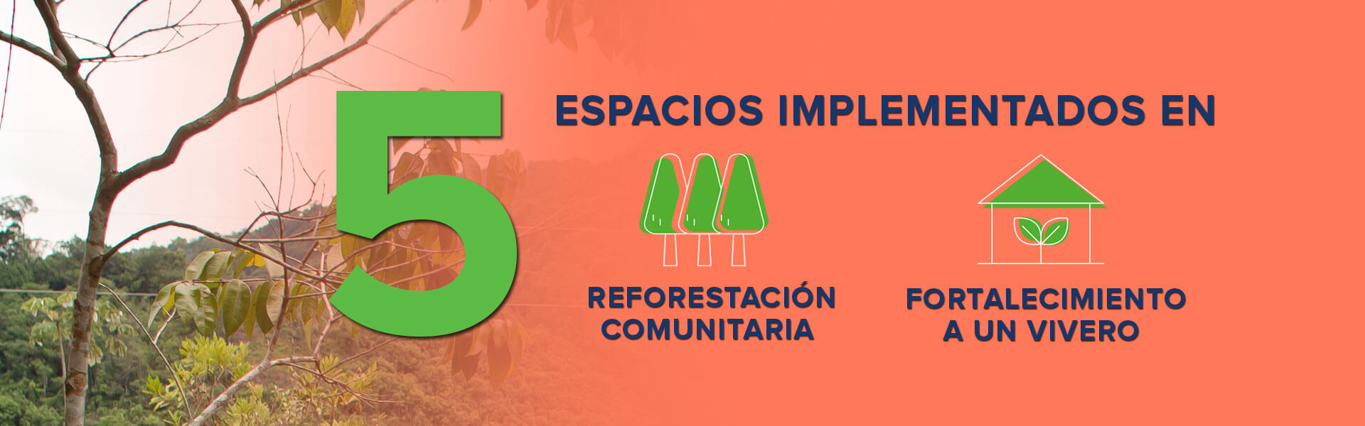 IMPACTO-AMBIENTAL-4