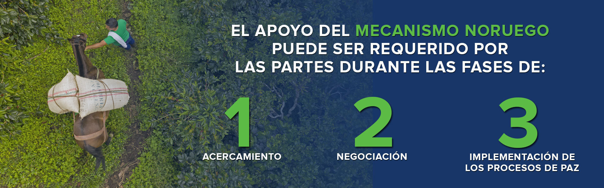 PROGRAMA-NORUEGO-1 (1)